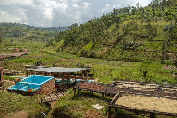 Quels programmes de recyclage les petites entreprises de l'électronique peuvent-elles mettre en place pour promouvoir la durabilité ?